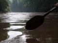 03_Taman Negara